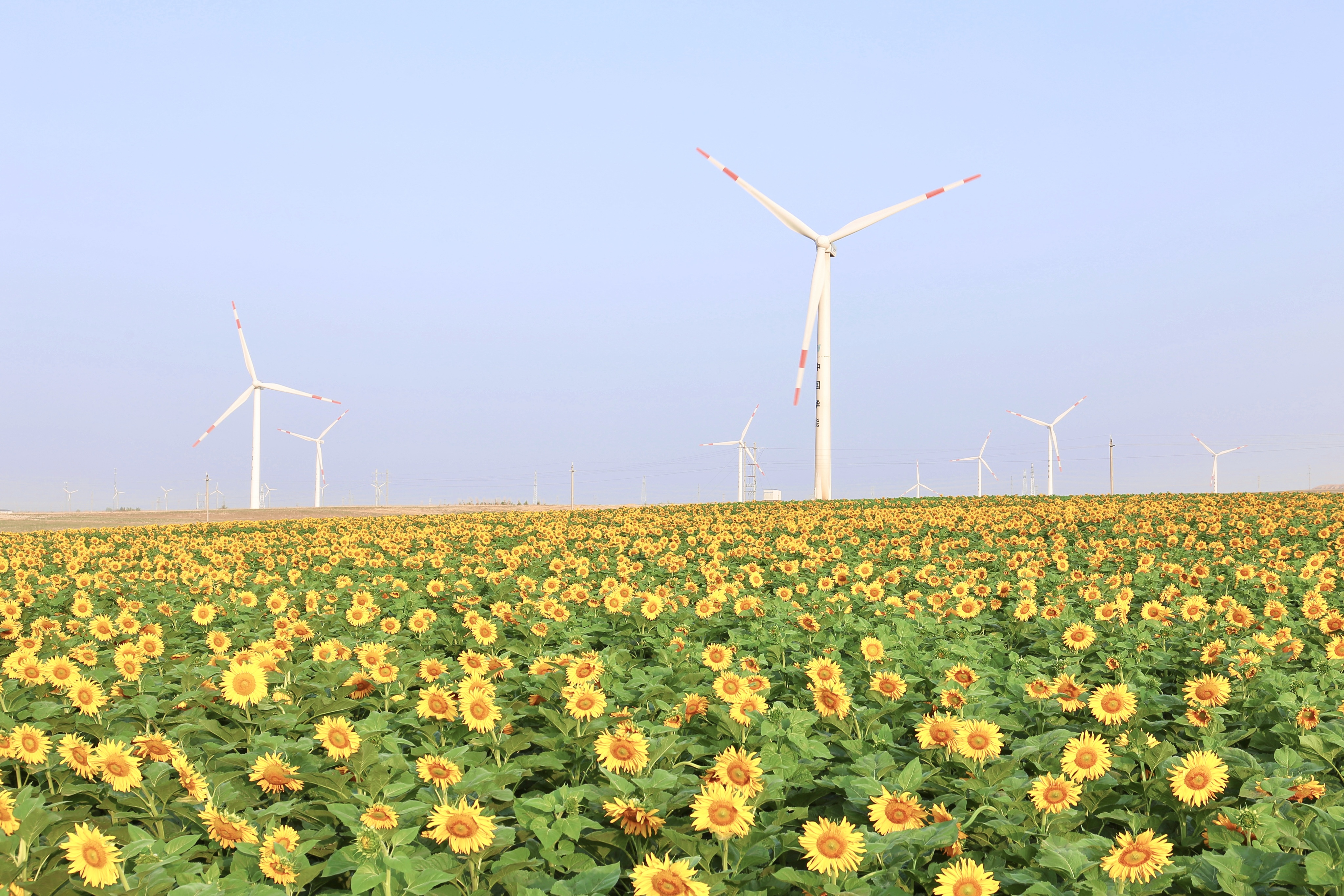 德赢·(VWIN)官方网站-AC米兰官方相助同伴