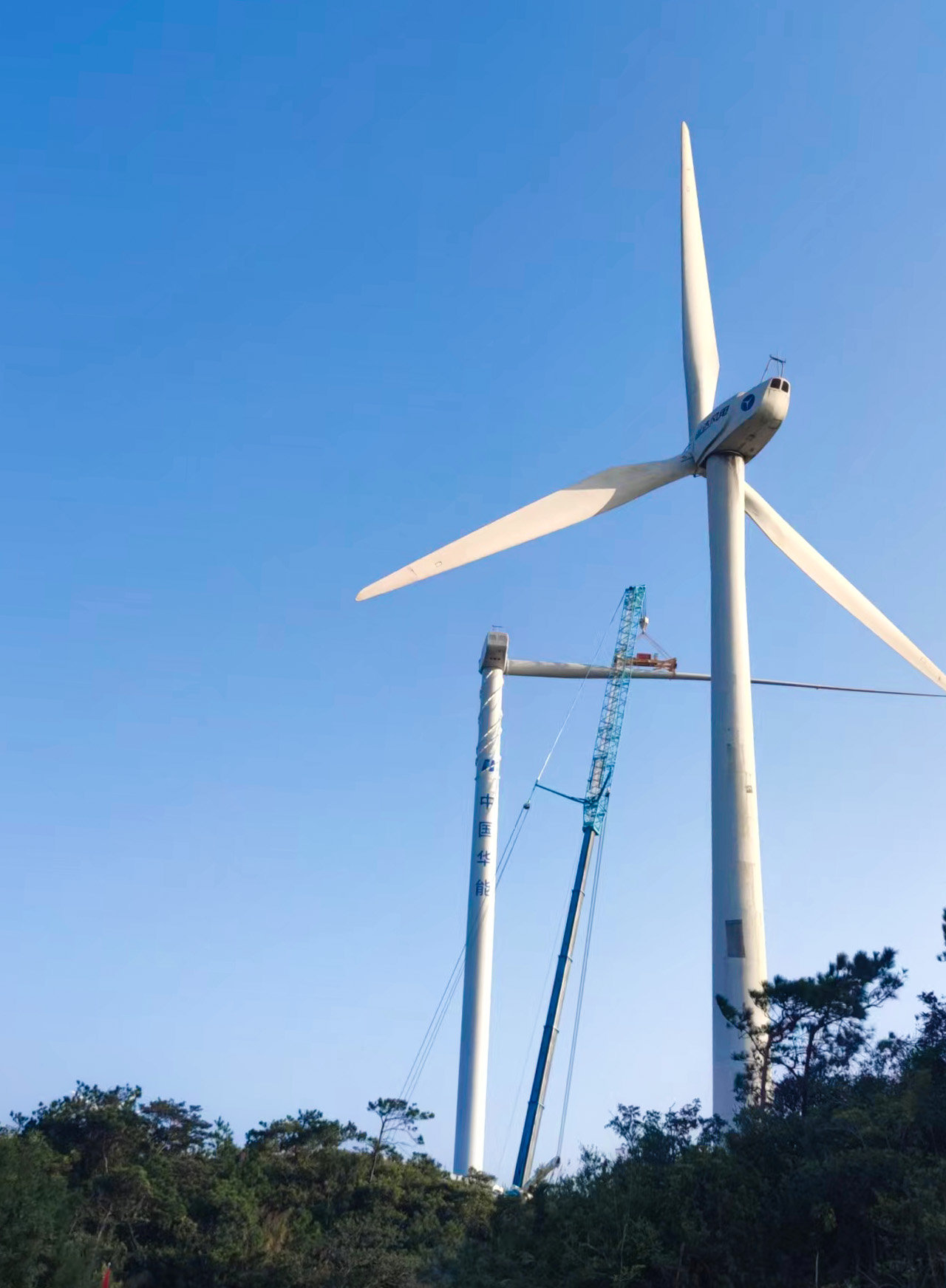 德赢·(VWIN)官方网站-AC米兰官方相助同伴